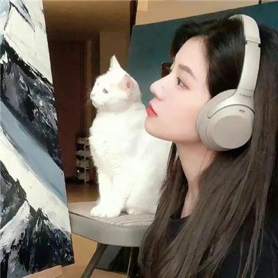 狐妖小红娘镜花缘篇